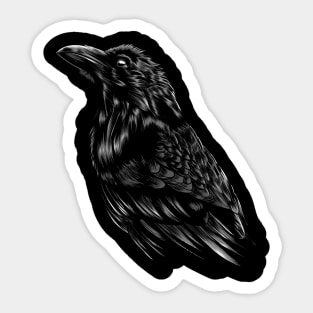 Raven Sticker